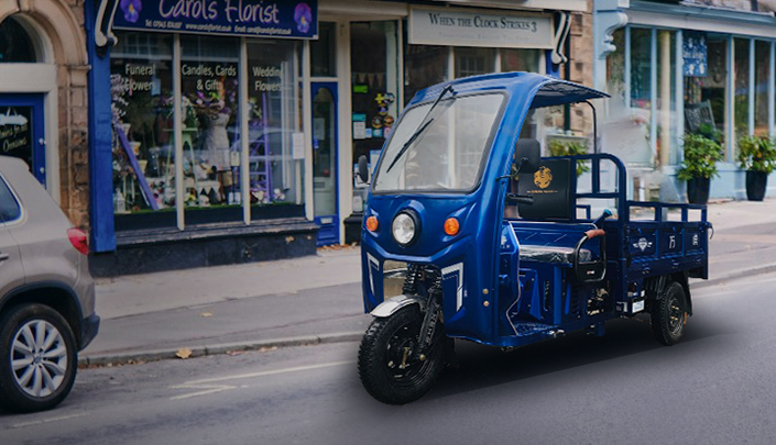 V&eacute;hicules &eacute;lectriques